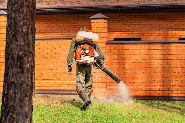 Trusted Ant Control service in Rock Hall, MD - Nex Pest Control